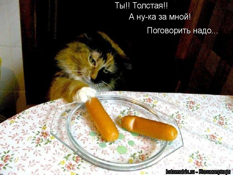 Ты!! Толстая!! А ну-ка за мной! Поговорить надо...... Котоматрица: Ты!! Толстая!! А ну-ка за мной! Поговорить надо...