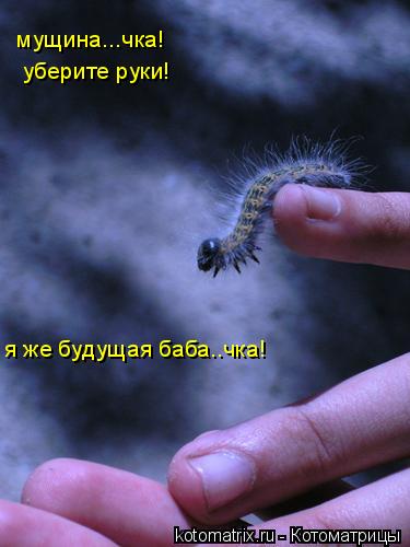 мущина...чка! уберите руки! я же будущая баба..чка!... Котоматрица: мущина...чка! уберите руки! я же будущая баба..чка!