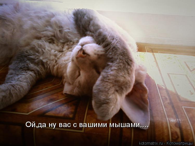 Котоматрица: Ой,да ну вас с вашими мышами....