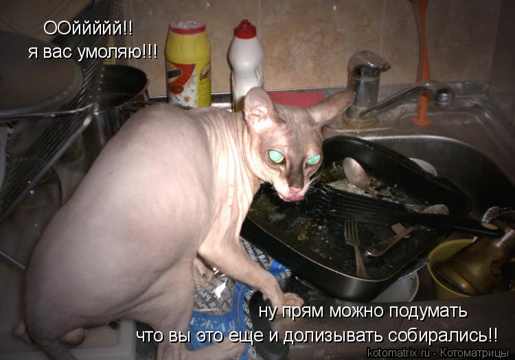 Котоматрица: ООййййй!! ну прям можно подумать я вас умоляю!!! что вы это еще и долизывать собирались!!