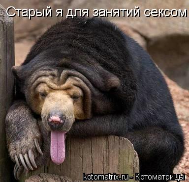 Старый я для занятий сексом... Котоматрица: Старый я для занятий сексом
