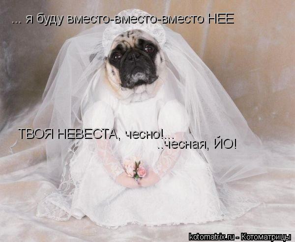 ... я буду вместо-вместо-вместо НЕЕ ..чесная, ЙО! ТВОЯ НЕВЕСТА, чесно!...... Котоматрица: ... я буду вместо-вместо-вместо НЕЕ ..чесная, ЙО! ТВОЯ НЕВЕСТА, чесно!...