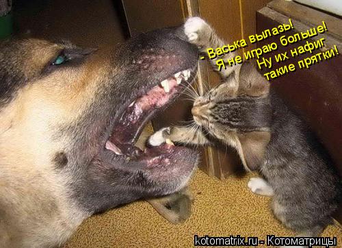 - Васька вылазь! Я не играю больше! Ну их нафиг такие прятки!... Котоматрица: - Васька вылазь! Я не играю больше! Ну их нафиг такие прятки!