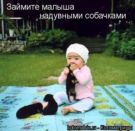 Котоматрица: Займите малыша надувными собачками