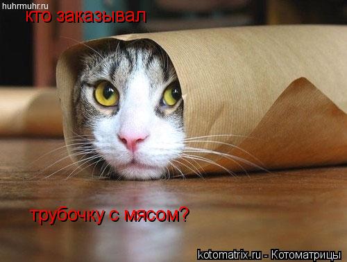 Котоматрица: кто заказывал трубочку с мясом?