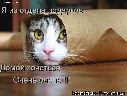 Я из отдела подарков. Домой хочеться Очень очень!!!!... Котоматрица: Я из отдела подарков. Домой хочеться Очень очень!!!!
