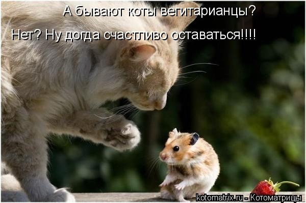 Котоматрица: А бывают коты вегитарианцы? Нет? Ну догда счастливо оставаться!!!!