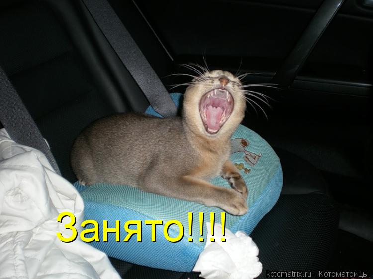 Занято!!!!... Котоматрица: Занято!!!!