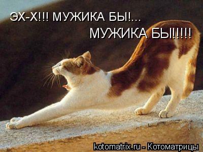 ЭХ-Х!!! МУЖИКА БЫ!... МУЖИКА БЫ!!!!!... Котоматрица: ЭХ-Х!!! МУЖИКА БЫ!... МУЖИКА БЫ!!!!!
