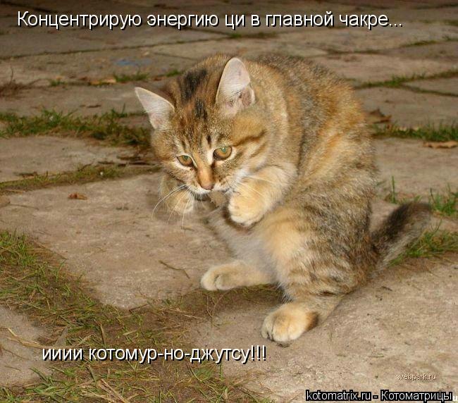 http://kotomatrix.ru/images/lolz/2008/07/21/zS.jpg