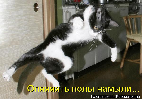 Опяяяять полы намыли...... Котоматрица: Опяяяять полы намыли...