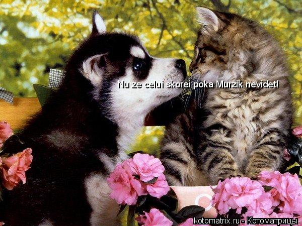 Nu ze celui skorei poka Murzik nevidet!... Котоматрица: Nu ze celui skorei poka Murzik nevidet!