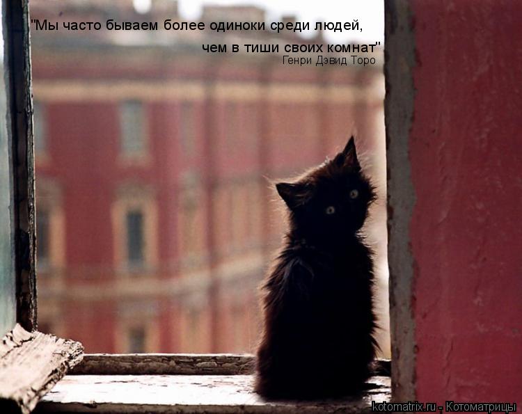 "Мы часто бываем более одиноки среди людей, чем в тиши своих комнат" Генри Дэвид Торо... Котоматрица: "Мы часто бываем более одиноки среди людей, чем в тиши своих комнат" Генри Дэвид Торо