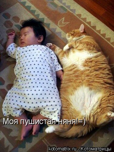 Моя пушистая няня!=)... Котоматрица: Моя пушистая няня!=)