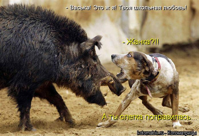 - Васька! Это ж я! Твоя школьная любовь! - Жанка?!! А ты слегка поправилась...... Котоматрица: - Васька! Это ж я! Твоя школьная любовь! - Жанка?!! А ты слегка поправилась...