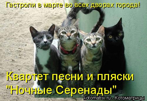 Квартет песни и пляски "Ночные Серенады" Гастроли в марте во всех дворах города!... Котоматрица: Квартет песни и пляски "Ночные Серенады" Гастроли в марте во всех дворах города!