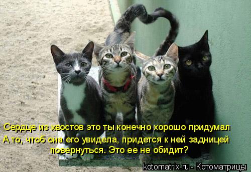Сердце из хвостов это ты конечно хорошо придумал А то, чтоб она его увидела, придется к ней задницей ... Котоматрица: Сердце из хвостов это ты конечно хорошо придумал А то, чтоб она его увидела, придется к ней задницей повернуться. Это ее не обидит?