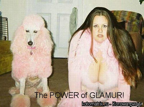 The POWER of GLAMUR!... Котоматрица: The POWER of GLAMUR!