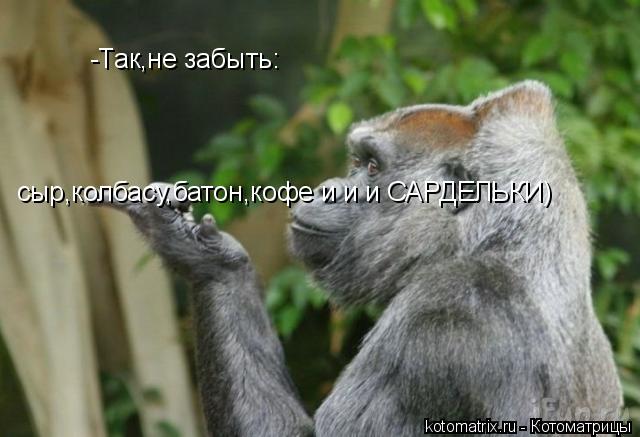 -Так,не забыть: сыр,колбасу,батон,кофе и и и САРДЕЛЬКИ)... Котоматрица: -Так,не забыть: сыр,колбасу,батон,кофе и и и САРДЕЛЬКИ)