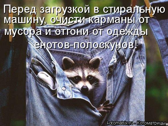 Перед загрузкой в стиральную машину, очисти карманы от мусора и отгони от одежды енотов-полоскунов!... Котоматрица: Перед загрузкой в стиральную машину, очисти карманы от мусора и отгони от одежды енотов-полоскунов!