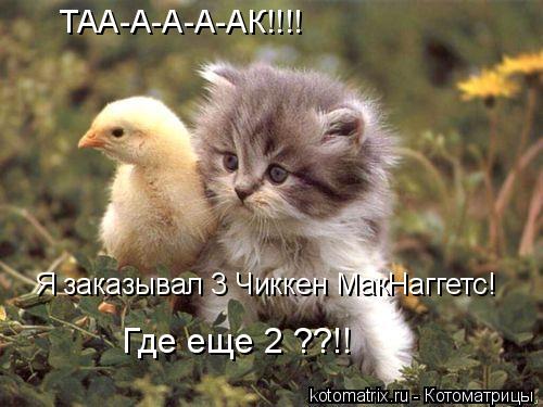 ТАА-А-А-А-АК!!!! Я заказывал 3 Чиккен МакНаггетс! Где еще 2 ??!!... Котоматрица: ТАА-А-А-А-АК!!!! Я заказывал 3 Чиккен МакНаггетс! Где еще 2 ??!!