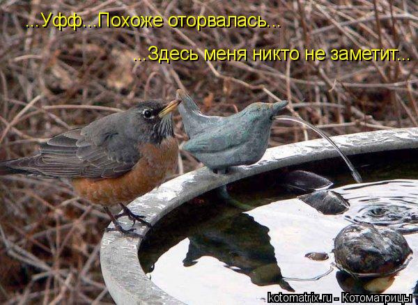 ...Здесь меня никто не заметит... ...Уфф...Похоже оторвалась...... Котоматрица: ...Здесь меня никто не заметит... ...Уфф...Похоже оторвалась...
