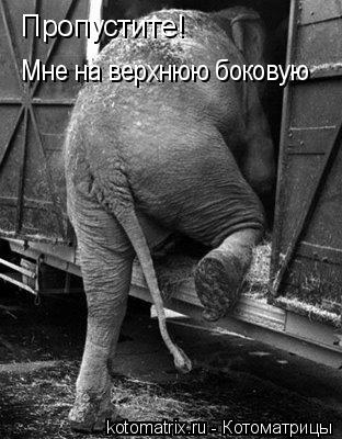 Котоматрица: Пропустите!  Мне на верхнюю боковую