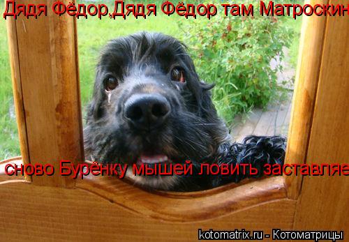 Дядя Фёдор,Дядя Фёдор там Матроскин сново Бурёнку мышей ловить заставляет......... Котоматрица: Дядя Фёдор,Дядя Фёдор там Матроскин сново Бурёнку мышей ловить заставляет......