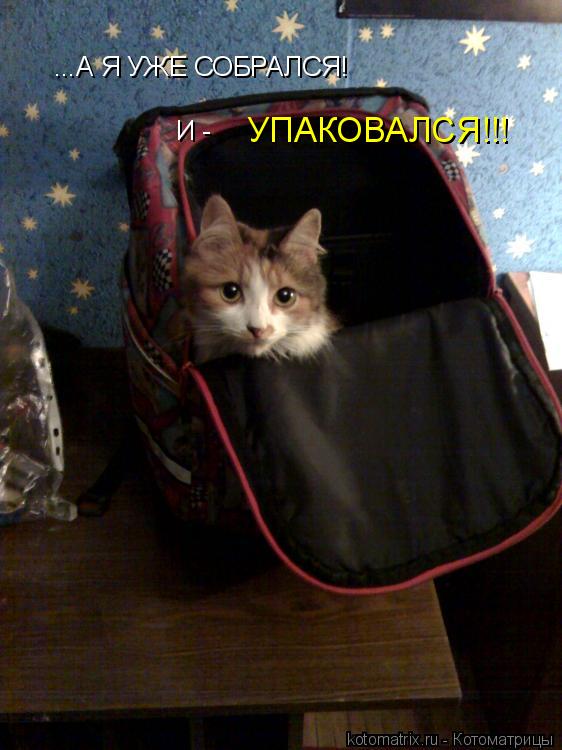 ...А Я УЖЕ СОБРАЛСЯ! И - УПАКОВАЛСЯ!!!... Котоматрица: ...А Я УЖЕ СОБРАЛСЯ! И - УПАКОВАЛСЯ!!!