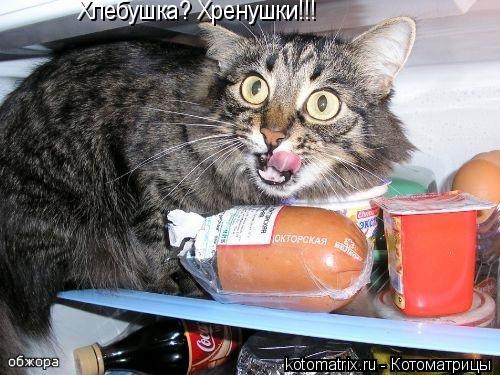 Хлебушка? Хренушки!!!... Котоматрица: Хлебушка? Хренушки!!!