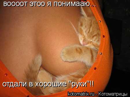 http://kotomatrix.ru/images/lolz/2008/07/23/e9.jpg