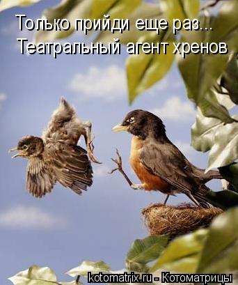 Только прийди еще раз... Театральный агент хренов... Котоматрица: Только прийди еще раз... Театральный агент хренов