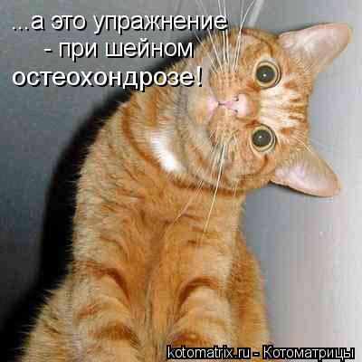 ...а это упражнение - при шейном остеохондрозе!... Котоматрица: ...а это упражнение - при шейном остеохондрозе!