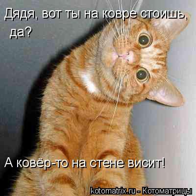 Дядя, вот ты на ковре стоишь, да? А ковёр-то на стене висит!... Котоматрица: Дядя, вот ты на ковре стоишь, да? А ковёр-то на стене висит!