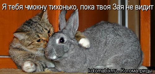 Я тебя чмокну тихонько, пока твоя Зая не видит... Котоматрица: Я тебя чмокну тихонько, пока твоя Зая не видит