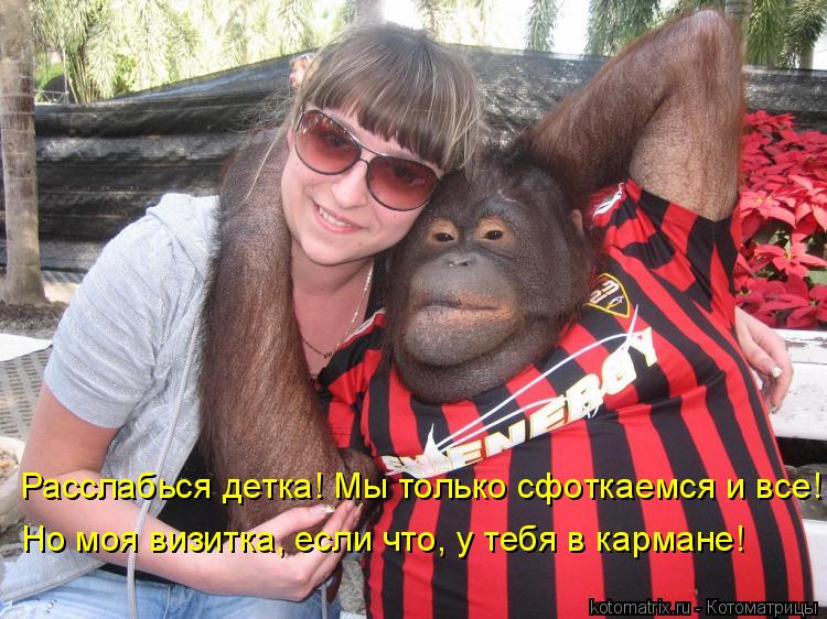 Расслабься детка! Мы только сфоткаемся и все! Но моя визитка, если что, у тебя в кармане!... Котоматрица: Расслабься детка! Мы только сфоткаемся и все! Но моя визитка, если что, у тебя в кармане!