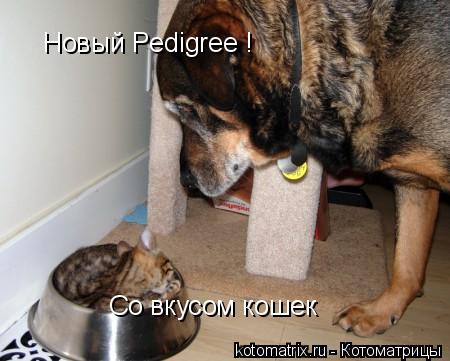 Новый Pedigree ! Со вкусом кошек... Котоматрица: Новый Pedigree ! Со вкусом кошек