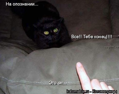 На опознании... Это он... Все!! Тебе конец!!!!... Котоматрица: На опознании... Это он... Все!! Тебе конец!!!!