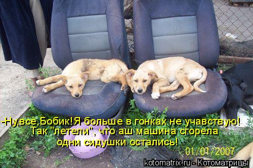 -Ну,все,Бобик!Я больше в гонках не учавствую! Так "летели", что аш машина сгорела одни сидушки остали... Котоматрица: -Ну,все,Бобик!Я больше в гонках не учавствую! Так "летели", что аш машина сгорела одни сидушки остались!