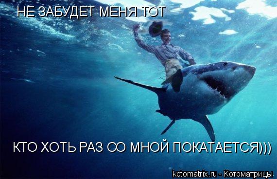 НЕ ЗАБУДЕТ МЕНЯ ТОТ КТО ХОТЬ РАЗ СО МНОЙ ПОКАТАЕТСЯ)))... Котоматрица: НЕ ЗАБУДЕТ МЕНЯ ТОТ КТО ХОТЬ РАЗ СО МНОЙ ПОКАТАЕТСЯ)))