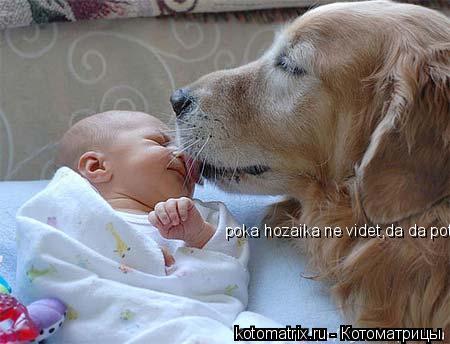 poka hozaika ne videt,da da potseluju..... Котоматрица: poka hozaika ne videt,da da potseluju..