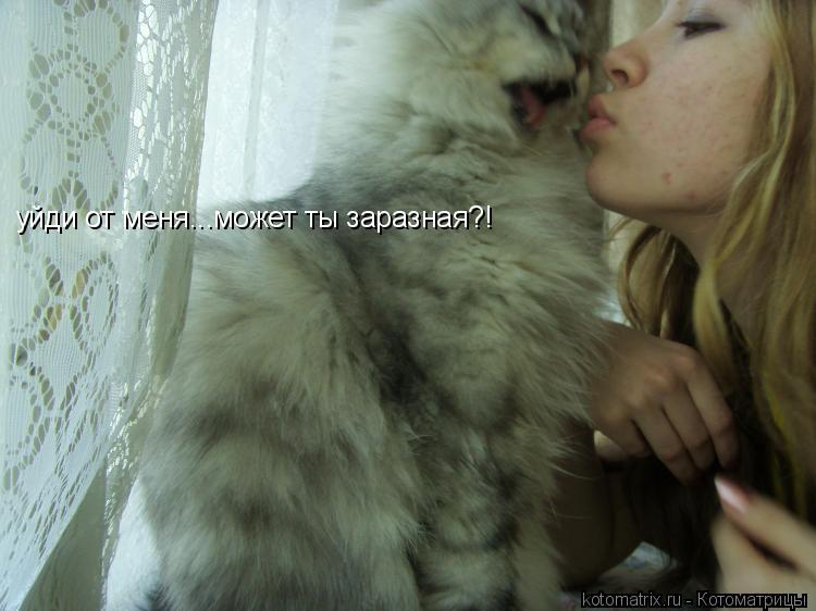 уйди от меня...может ты заразная?!... Котоматрица: уйди от меня...может ты заразная?!