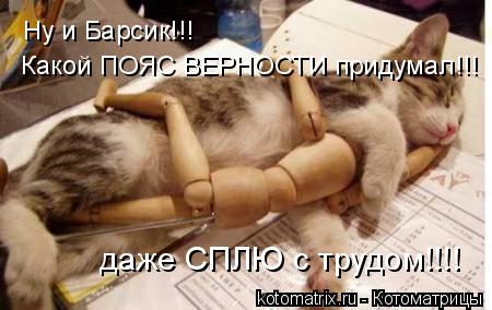 Ну и Барсик!!! Какой ПОЯС ВЕРНОСТИ придумал!!! даже СПЛЮ с трудом!!!!... Котоматрица: Ну и Барсик!!! Какой ПОЯС ВЕРНОСТИ придумал!!! даже СПЛЮ с трудом!!!!