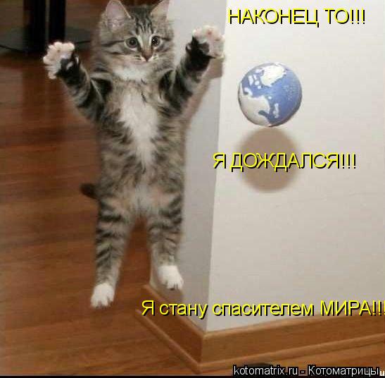 НАКОНЕЦ ТО!!! Я ДОЖДАЛСЯ!!! Я стану спасителем МИРА!!!... Котоматрица: НАКОНЕЦ ТО!!! Я ДОЖДАЛСЯ!!! Я стану спасителем МИРА!!!