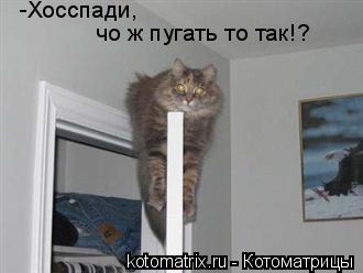 -Хосспади, чо ж пугать то так!?... Котоматрица: -Хосспади, чо ж пугать то так!?