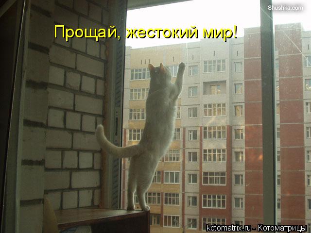 Котоматрица: Прощай, жестокий мир!
