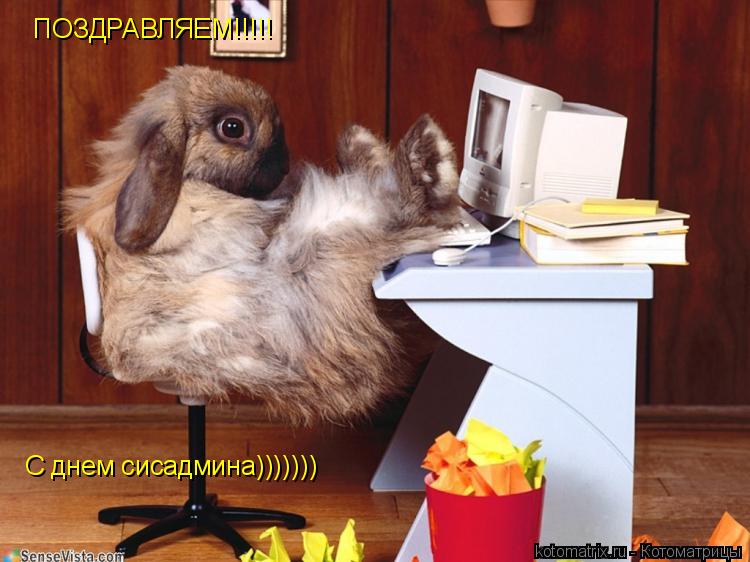 Котоматрица: ПОЗДРАВЛЯЕМ!!!!! С днем сисадмина)))))))