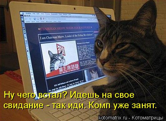 Ну чего встал? Идешь на свое свидание - так иди. Комп уже занят.... Котоматрица: Ну чего встал? Идешь на свое свидание - так иди. Комп уже занят.