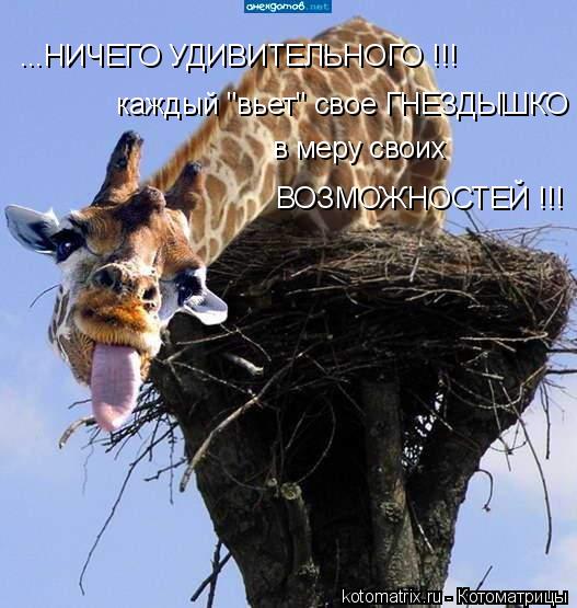 ...НИЧЕГО УДИВИТЕЛЬНОГО !!! каждый "вьет" свое ГНЕЗДЫШКО в меру своих ВОЗМОЖНОСТЕЙ !!!... Котоматрица: ...НИЧЕГО УДИВИТЕЛЬНОГО !!! каждый "вьет" свое ГНЕЗДЫШКО в меру своих ВОЗМОЖНОСТЕЙ !!!