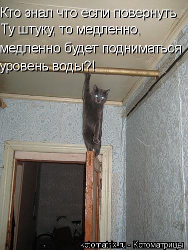 Кто знал что если повернуть Ту штуку, то медленно, медленно будет подниматься уровень воды?!... Котоматрица: Кто знал что если повернуть Ту штуку, то медленно, медленно будет подниматься уровень воды?!